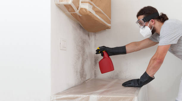 Professional Commercial Mold Remediation technician working in Millis, MA